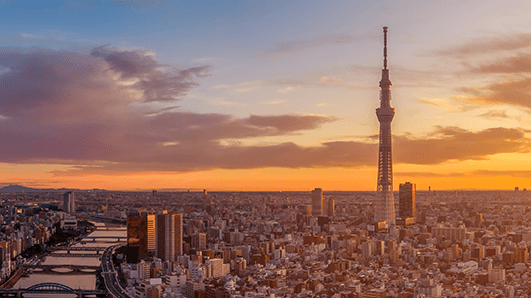 Sunrise image of skyline with river on left with bridges crossing it, and lone tall tower in right third.